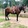 graycolemaneq